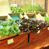 agricultural-packaging
