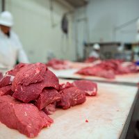 meat-processor-packaging